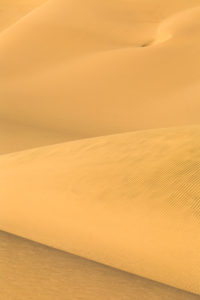 Details and shapes of the sand dunes modeled by wind Walvis Bay Namib Desert Erongo Region Namibia Southern Africa Details and shapes of the sand dunes modeled by wind Walvis Bay Namib Desert Erongo Region Namibia Southern Africa