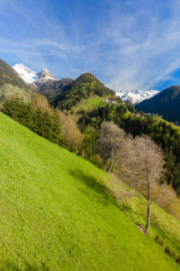 Green meadows of Dosso Chierico along the historical hiking path Via Priula Albaredo Valley Orobie Alps Lombardy Italy Europe Green meadows of Dosso Chierico along the historical hiking path Via Priula Albaredo Valley Orobie Alps Lombardy Italy Europe