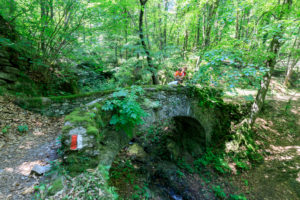 Ancient stone arch on a creek in the green woods on the way to Dossa Gerola Valley Sondrio Valtellina Lombardy Italy Europe Ancient stone arch on a creek in the green woods on the way to Dossa Gerola Valley Sondrio Valtellina Lombardy Italy Europe