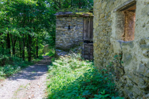 Stone houses and ruins among the green woods on the path leading to Dossa Gerola Valley Sondrio Valtellina Lombardy Italy Europe Stone houses and ruins among the green woods on the path leading to Dossa Gerola Valley Sondrio Valtellina Lombardy Italy Europe