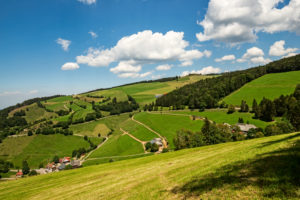 Aussicht vom Belchensteig auf landwirtschaftliche Nutzflächen, beim Neuhoflift, im Schwarzwald Aussicht vom Belchensteig auf landwirtschaftliche Nutzflächen, beim Neuhoflift, im Schwarzwald