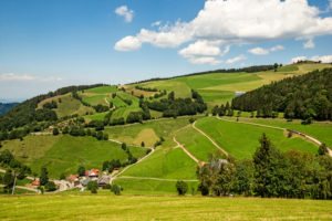 Aussicht vom Belchensteig auf landwirtschaftliche Nutzflächen, beim Neuhoflift, im Schwarzwald Aussicht vom Belchensteig auf landwirtschaftliche Nutzflächen, beim Neuhoflift, im Schwarzwald