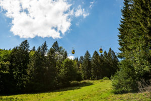 Zwei Gondeln der Belchenbahn schweben über dem Wald Zwei Gondeln der Belchenbahn schweben über dem Wald