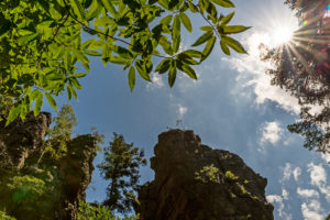 View of the sky with back light, leaves, Battertfelsen, sun star View of the sky with back light, leaves, Battertfelsen, sun star