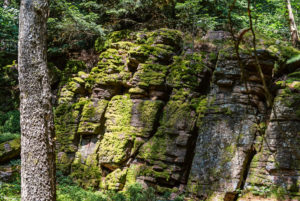 Battertfelsen mit Moos bewachsen. Battertfelsen mit Moos bewachsen.