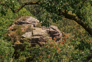 Blick auf Battertfelsen von der Aussichtsplattform Ritterplatte aus. Blick auf Battertfelsen von der Aussichtsplattform Ritterplatte aus.