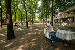Unter Bäumen auf dem Weg zum Kurhaus in Baden-Baden Unter Bäumen auf dem Weg zum Kurhaus in Baden-Baden