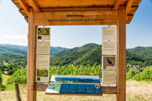 Informationstafel am Weinberg Informationstafel am Weinberg
