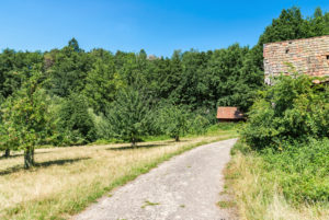 Weg durch Streuobstwiesen, alte Scheune. Weg durch Streuobstwiesen, alte Scheune.