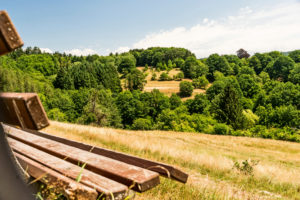 Bank in der Landschaft Bank in der Landschaft