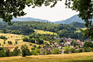 Blick vom Waldrand auf Oberbeuern Blick vom Waldrand auf Oberbeuern