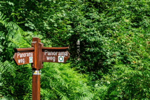 Signpost against a green background Signpost against a green background