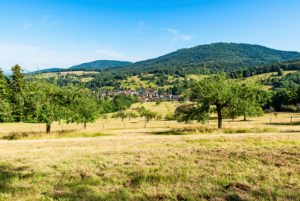 Schwarzwaldhügel mit Ortschaft, im Vordergrund eine Streuobstwiese Schwarzwaldhügel mit Ortschaft, im Vordergrund eine Streuobstwiese