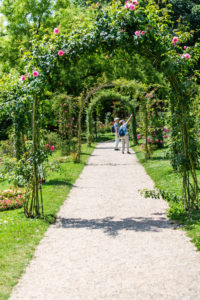 Rosenbogenallee mit zwei Personen Rosenbogenallee mit zwei Personen
