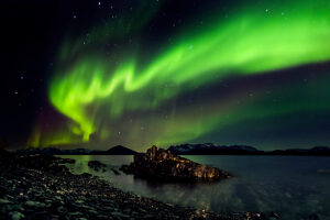 Aurora Borealis in the night sky over the sea,Skjervoy,Troms,Norway,Barents Sea,Arctic Ocean.