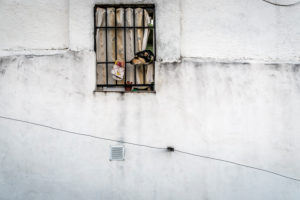 Dog and window in Spain Dog and window in Spain
