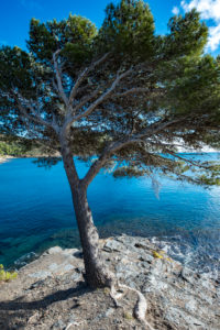 Coastline in Cap de Creus in the north of Costa Brava Girona Catalonia, Spain Coastline in Cap de Creus in the north of Costa Brava Girona Catalonia, Spain
