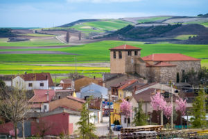 Überblick über das Dorf Padilla del Duero und die landwirtschaftlichen Felder innerhalb der Herkunftsbezeichnung der Weine Ribera del Duero in der Provinz Valladolid in Spanien Europa Überblick über das Dorf Padilla del Duero und die landwirtschaftlichen Felder innerhalb der Herkunftsbezeichnung der Weine Ribera del Duero in der Provinz Valladolid in Spanien Europa