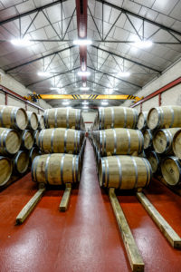 Barrels in the cellars of the wine brand Alejandro Fernandez of denomination of origin Ribera del Duero in Valladolid Spain Europe Barrels in the cellars of the wine brand Alejandro Fernandez of denomination of origin Ribera del Duero in Valladolid Spain Europe