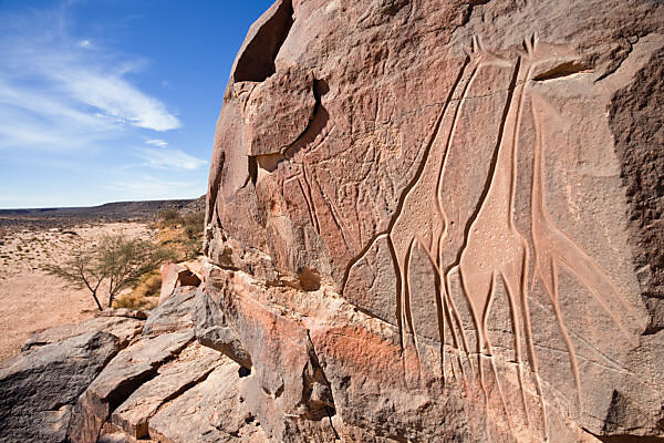 Bildagentur | mauritius images | Saudi Arabia, Najran Province, Najran, Prehistoric petroglyphs and inscriptions of Bir Hima