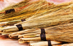 bonsai geschäft 'Virgil' the Eastern Red Cedar main image 0