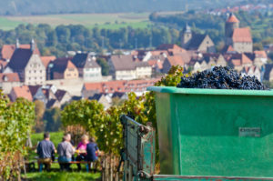 Deutschland, Baden-Württemberg ,Besigheim, Pause, Weinlese Deutschland, Baden-Württemberg ,Besigheim, Pause, Weinlese