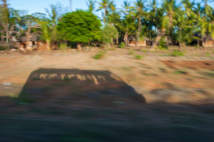 Bus, driving, landscape, palm trees, travel Bus, driving, landscape, palm trees, travel