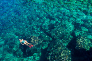 Sea, water, snorkeling, person, crystal clear, clear Sea, water, snorkeling, person, crystal clear, clear