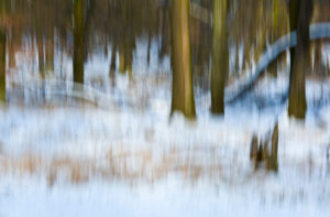 Winter, Wald, Schnee, abstrakt, Unschärfe Winter, Wald, Schnee, abstrakt, Unschärfe