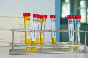 Laboratory, flavors, test tube, food industry, Laboratory, flavors, test tube, food industry,