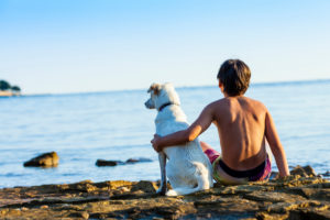 Freundschaft, Hund, Kind, Junge, Meer, Strand, sitzen Freundschaft, Hund, Kind, Junge, Meer, Strand, sitzen