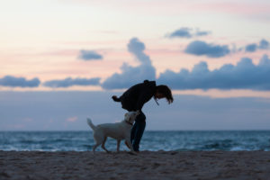Junge, Hund, Abend, Strand, Spiel, Meer, Freundschaft, Haustier, Silhouette, Dämmerung, Spaziergang Junge, Hund, Abend, Strand, Spiel, Meer, Freundschaft, Haustier, Silhouette, Dämmerung, Spaziergang