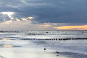 Ostsee, Ostseeküste, Meer, Strand, Wellen, Buhnen, Pfähle, Abend, Sonnenuntergang, Möwen, Ostsee, Ostseeküste, Meer, Strand, Wellen, Buhnen, Pfähle, Abend, Sonnenuntergang, Möwen,
