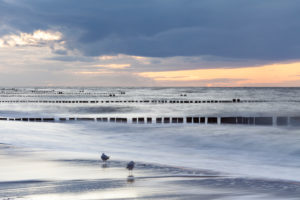 Ostsee, Ostseeküste, Meer, Strand, Wellen, Buhnen, Pfähle, Abend, Sonnenuntergang, Möwen, Ostsee, Ostseeküste, Meer, Strand, Wellen, Buhnen, Pfähle, Abend, Sonnenuntergang, Möwen,