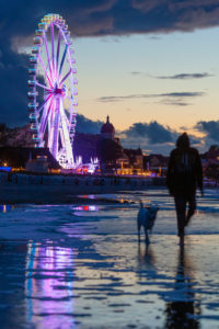 Europa, Deutschland, Mecklenburg-Vorpommern, Kühlungsborn, Ostsee, Riesenrad, Strand, Junge, Hund Europa, Deutschland, Mecklenburg-Vorpommern, Kühlungsborn, Ostsee, Riesenrad, Strand, Junge, Hund