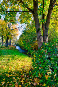Idylle am Lauterbach, Herbstlaub, Bad Staffelstein, Oberfranken, Bayern, Deutschland, Europa Idylle am Lauterbach, Herbstlaub, Bad Staffelstein, Oberfranken, Bayern, Deutschland, Europa