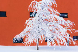 Luftsportzentrum auf der Wasserkuppe im Winter, Rhön, Hessen, Deutschland, Europa, Luftsportzentrum auf der Wasserkuppe im Winter, Rhön, Hessen, Deutschland, Europa,