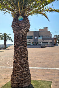 Restaurant Miramar, house view, architecture, tour of the town, Santiago de Ribera, Mar Menor, autonomous region of Murcia, Spain,