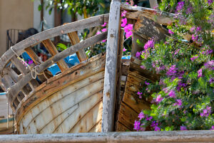 San Anton, 1916, boat wall, flowers, still life, Santiago de Ribera, Mar Menor, autonomous region of Murcia, Spain,