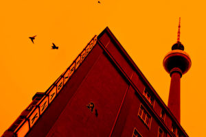 Pigeons in flight, Berlin, TV tower Pigeons in flight, Berlin, TV tower
