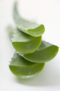 Bildagentur | mauritius images | Vier Triebe einer Aloe-Vera-Pflanze,  gestapelt
