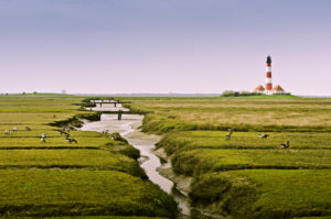 Deutschland, Schleswig-Holstein, Nordfriesland, Eiderstedt, St. Peter-Ording, Strand, Deutschland, Schleswig-Holstein, Nordfriesland, Eiderstedt, St. Peter-Ording, Strand,