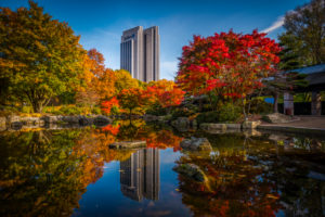 Deutschland, Hamburg, Park, Parkanlage, Planten un Blomen, Herbst Deutschland, Hamburg, Park, Parkanlage, Planten un Blomen, Herbst