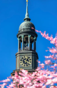 Frühlingsblüte und Michel in Hamburg, Deutschland, Europa Frühlingsblüte und Michel in Hamburg, Deutschland, Europa