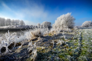 Wintry Elbe shore in the nature reserve Zollenspieker in Kirchwerder, Hamburg, Germany, Europe Wintry Elbe shore in the nature reserve Zollenspieker in Kirchwerder, Hamburg, Germany, Europe