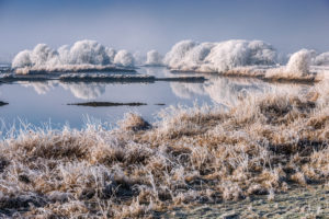 Wintry Elbe shore in the nature reserve Zollenspieker in Kirchwerder, Hamburg, Germany, Europe Wintry Elbe shore in the nature reserve Zollenspieker in Kirchwerder, Hamburg, Germany, Europe