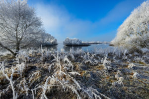 Wintry Elbe shore in the nature reserve Zollenspieker in Kirchwerder, Hamburg, Germany, Europe Wintry Elbe shore in the nature reserve Zollenspieker in Kirchwerder, Hamburg, Germany, Europe