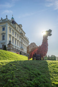 Germany, Baden-Wurttemberg, Ludwigsburg, Ludwigsburg Castle, Dragon Pumpkin Germany, Baden-Wurttemberg, Ludwigsburg, Ludwigsburg Castle, Dragon Pumpkin