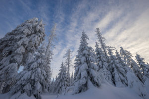 Germany, Lower Saxony, Harz National Park, snowy landscape in the Harz National Park Germany, Lower Saxony, Harz National Park, snowy landscape in the Harz National Park
