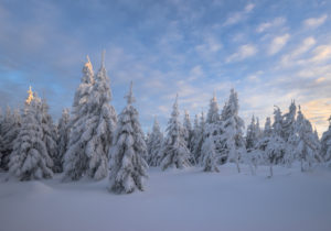 Germany, Lower Saxony, Harz National Park, snowy landscape in the Harz National Park Germany, Lower Saxony, Harz National Park, snowy landscape in the Harz National Park